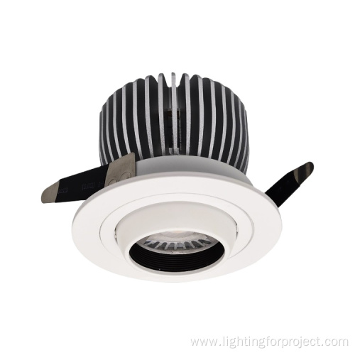 Adjustable Angle Celling COB DownLight